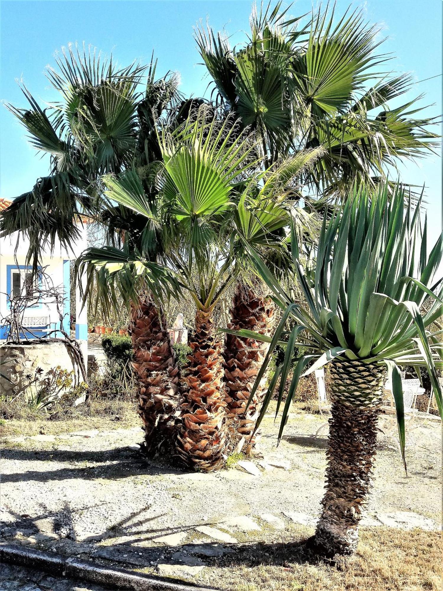 Вілла Agua Rocha Serra de Mangues Номер фото