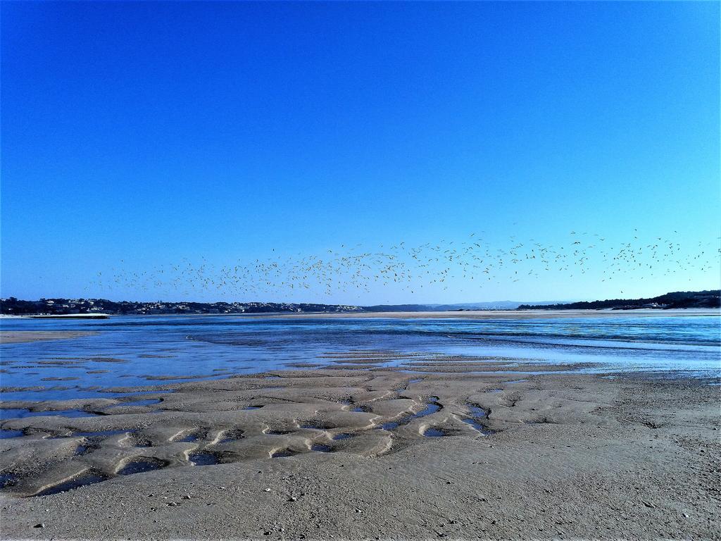 Вілла Agua Rocha Serra de Mangues Екстер'єр фото